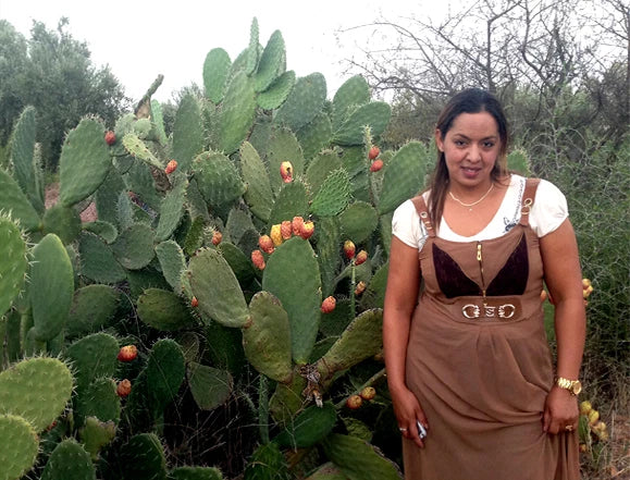 Prickly Pear Oil - 11 ml - Moroccan - Opuntia Ficus Indica Seed Oil