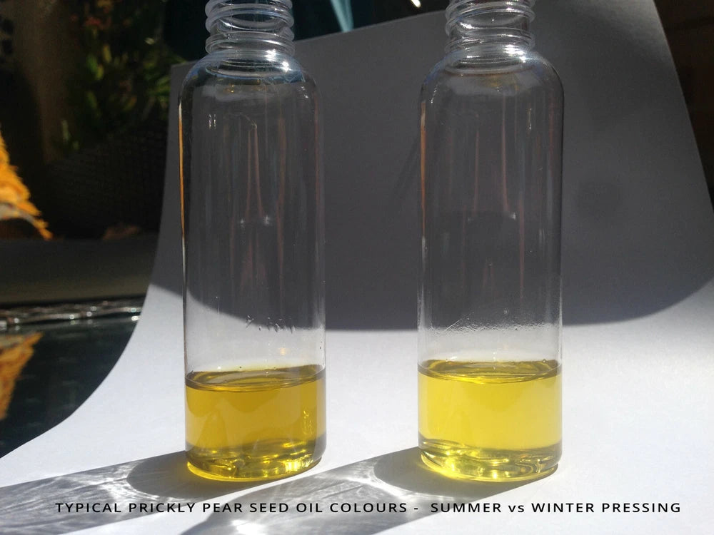 Prickly Pear Oil - 32ml - Moroccan,  Organic, Cactus Seed Oil