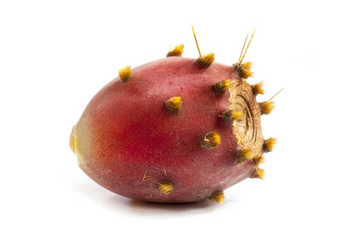 Prickly Pear Oil - 32ml - Moroccan,  Organic, Cactus Seed Oil