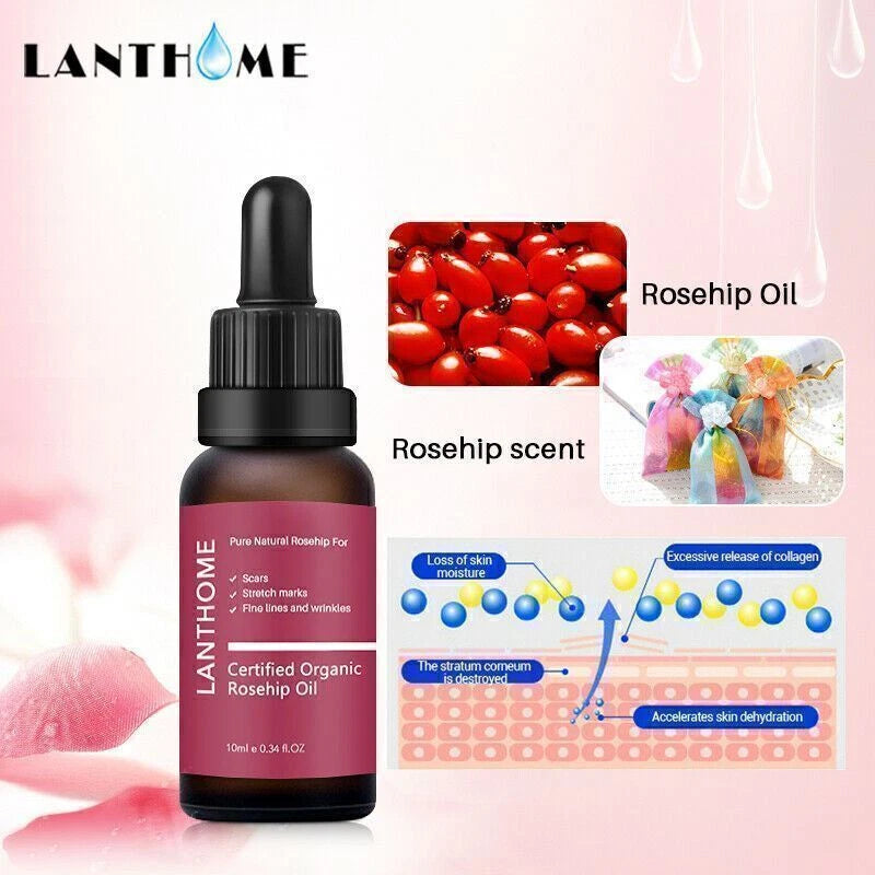 20ML🌟 Organic Rosehip Oil for Face, use of Scars, Stretch Marks & Wrinkles ✅🔥