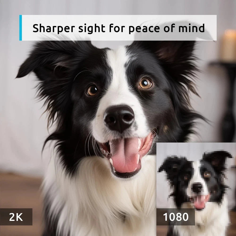 blurams Wifi Security Camera Smart Indoor Pet Dog Cat Cam 1080P Night Vision