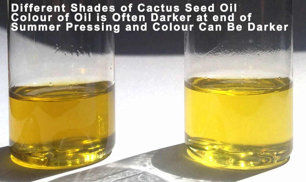 Prickly Pear Oil - 11 ml - Moroccan - Opuntia Ficus Indica Seed Oil