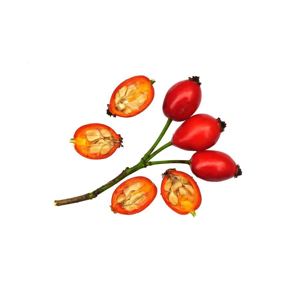 COLD PRESSED UNREFINED 100% PURE ROSEHIP SEED OIL - VARIOUS SIZES