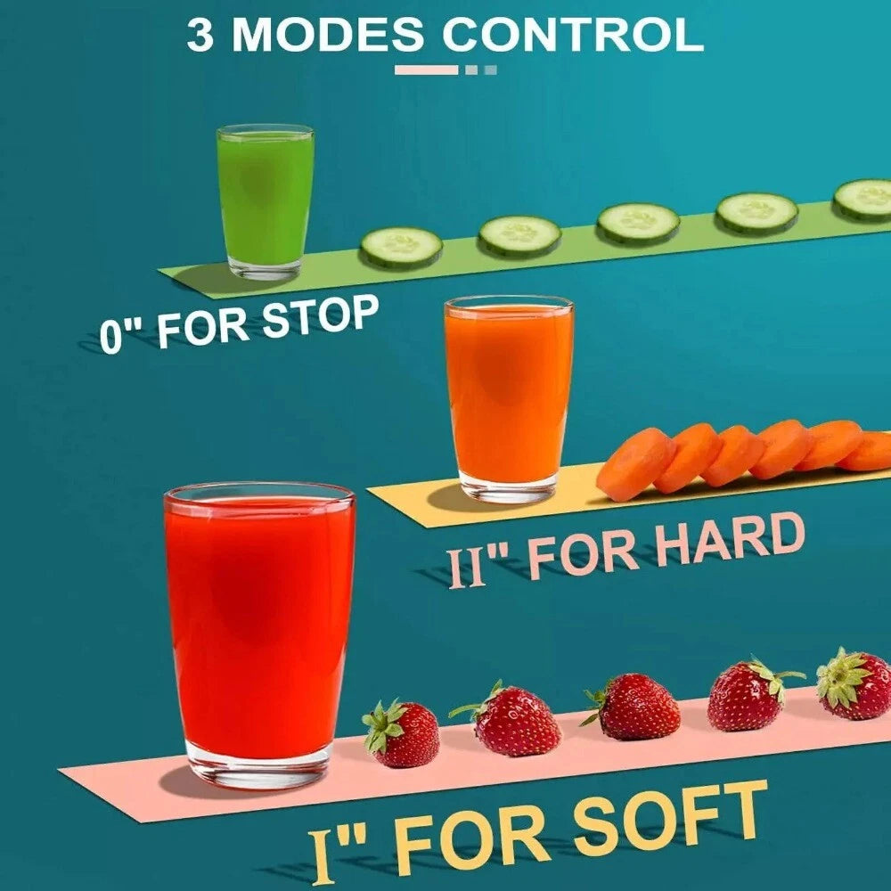 1000W Juicer Machine Whole Fruit Vegetable Large Juice Extractor Stainless Steel