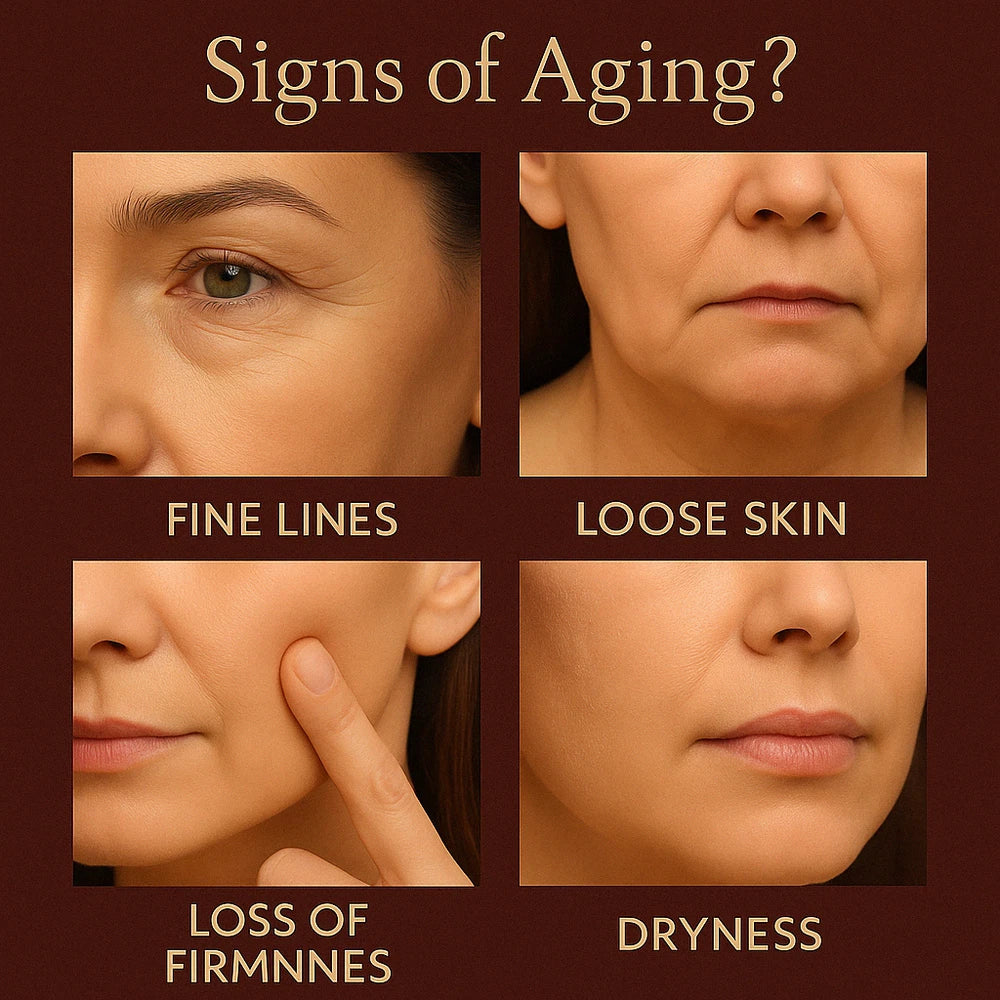 Collagen Moisturizer Cream 50g – 24H Hydration, Firming & Anti-Wrinkle Formula